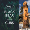 carving-2-black-bear-with-cubs-featured-image