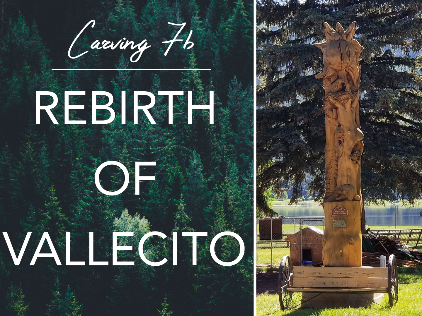 Tour of Carvings Vallecito Lake CO